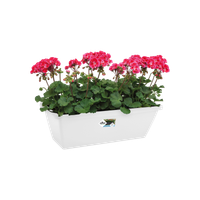 barcelona balkonkasten 40cm weiss